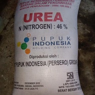 PUPUK UREA 50 KG PETROKIMIA GRESIK
