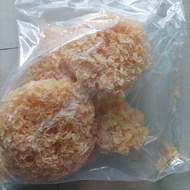 500 G GR GRAM JAMUR KUPING PUTIH KERING DRIED WHITE FUNGUS Berkualitas