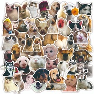 50 cat and dog stickers spoof animal memes funny funny laptop handbook stickers waterproof