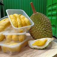 5 Boxes 400g Mao Shan Wang MSW Musang King pahang premium durian dehusk fresh durian