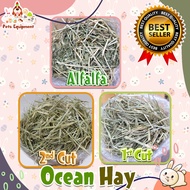 TIMOTHY HAY REPACK 1kg by OCEAN HAY 2nd /rabbit food guinea pig chinchilla rabbit food