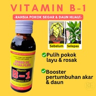 VITAMIN B1 SPEED - Booster Daun Hijau & Pemulihan Cepat Pokok