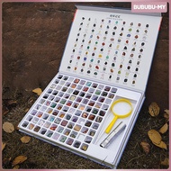 [BububuMY] 100Pcs/Box Geology  for  Sheet  Gems Collection Geology Educational Kit for Classroom Edu