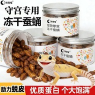 Gecko Food Freeze-Dried Silkworm Chrysalis Leopard Print Hainan Big Ear Gecko Eyelash Horn Gecko Fat