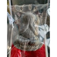 Phra Pidta Jumbo Wat Phikunthong, Singburi