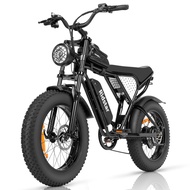 Electric Bike for Adults, 1000/2000W, 25/30/37MPH,48V-52V, 20AH,40AH Battery, Max 50-180 Miles Elect