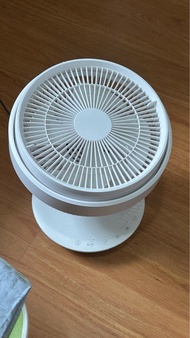 Rasonic 樂信座地風扇 fan