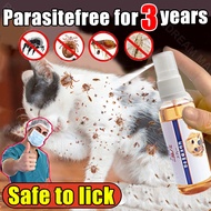 spray kutu kucing ubat kutu kucing paling berkesan ubat kutu anjing cat flea spray Tick Killer Spray