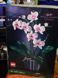 LEGO 10311 蘭花 盆栽