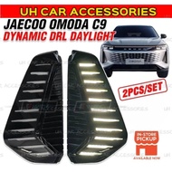 Jaecoo Omoda C9 Dynamic DRL Daylight ( 1 Function )