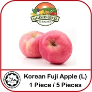 Fresh Fruits- Premium Korean Fuji Apple(L) 1piece / 5pieces