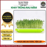 [On Sale] - Specialized Hydroponic Sprout Growing Tray 34x25x5cm