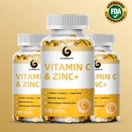 Vitamin C 1000mg timed release capsule containing rose HIPS and coniferous bioflavonoids, two-stage 