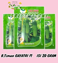 TERLARIS GAYATRI F1 20 Gram Benih Timun Lalap Hibrida YOU SEED