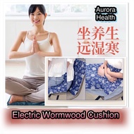 Electric heating wormwood moxibustion cushion 艾草自动加热坐垫/坐养生