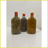 ☍ ❦ ∷ BAGOONG SISI TALABA/ AMAHONG  / GINAMOS DILIS / 375ml  '' PINOY'S FAVORITE BAGOONG