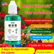 [Ready Stock] Fast Rooting Plant Rejuvenation Liquid | Universal Flower & Plant Nutrient Solution 生根