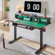 48inch Gaming Desk, Electric Standing Desk With Height Adjustable, Power Outlets, Led Lights, Keyboa