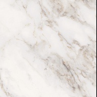 Lantai Granit Sandimas Venito Bianco 60X60