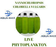 LIVE PHYTOPLANKTON NANNOCHLOPSIS , CHLORELLA VULGARIS SALTWATER CORAL ROTIFER COPEPOD FOOD AND FRESH