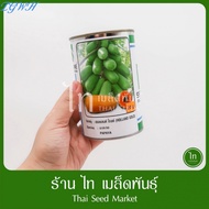 TGWH ♟มะละกอ ฮอลแลนด์ โกลด์ เมล็ดมะละกอ เมล็ดพันธุ์ มะละกอ ตรา ซีดส์ไลน์ SEEDLINE บรรจุ 20 กรัม◈