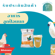 อาหารลูกป้อนนก อาหารลูกป้อน อาหารลูก สูตรพรีเมี่ยม Hari Tropican แบ่งขาย 100G / 200G / 500G อาหารนก อาหารนกแก้ว ใช้ได้กับนกทุกสายพันธุ์ อุปกรณ์เลี้ยงนก สำหรับลูกป้อน ลูกนกทั่วไป เจริญเติบโตไว พัฒนาการดี ขนสวยงาม โครงสร้างแข็งแรง มีรับประกัน Greenlife