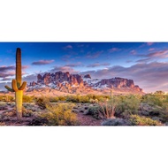 Leyiyi 30x12 inches Arazona Mountain Cactus Photography Background Desert Sunset Summit Western Amer
