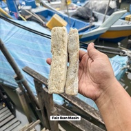 ( 500 GRAM ) ISI IKAN YU MASIN