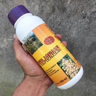 Vitalongan 500ml Pupuk Booster Kelengkeng Dan Pemacu / Mempercepat Keluar Bunga Kelengkeng