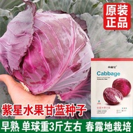 Fruit Kale Seeds Cabbage Seeds Cabbage Seeds Cabbage Seeds Farmhouse Seeds Encyclopedia Vegetable Se