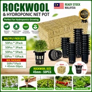 Home Hydroponic Rockwool Hidroponik Set | Balcony Vegetable & Herb Growing