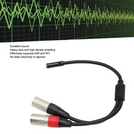 APPORTUNIAPY 3.5mm 1/8 to XLR Microphone Cable, Professional 1.0ft Balanced Dual XLR Male to 3.5mm F