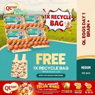 QL Eggs Day 1 Brain+   - Medium 40pcs Fresh Egg Farm Fresh Egg Telur Segar