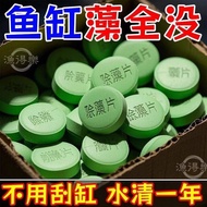 Fish Tank Algae Remover Moss Remover Net Moss Remover Brown Algae Remover Artifact Green Water Green