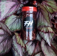 Maggot Red Merah Bos Bos Qu Grade A+ 30 gram
