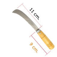 มีดปลอกขนุน มีดตัดกล้วย มีดหัวงอ ยาว 10 CM. มีดตัดขั้วทุเรียน ใบมีดสแตนเลส มีดแบ่งกล้วย ปาดกล้วย ปอกสับปะรด มีดเลาะหวีกล้วย มีดตัดเห็ด