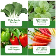 Sale All in 4 in 1 Pack Seeds (Pechay, Mustasa, Sweet Pepper, Labuyo) Vegetable Pot Outdoor Plant