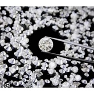 Set of 5 Australian Tooth Stones (Flat Base & Pointed Base) Stones in Zip Bag