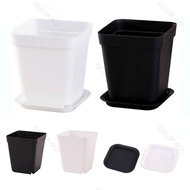 Home Office  Mini Square Plastic Flower Pot Succulent Planter Pot Trays  SG12L2