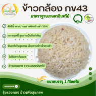 ข้าวกล้อง ข้าวน้ำตาลต่ำ กข 43 organic ข้าวกข43 (ปลอดสารเคมี100%)