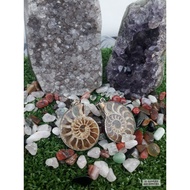 NATURAL AMMONITE FOSSIL SHELL PENDANT (1PAIR) 斑彩石