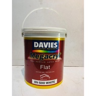 DAVIES PAINT (DV-500 WHITE)