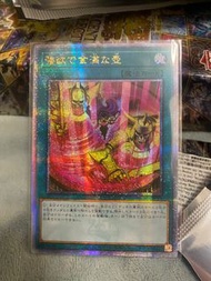 遊戲王 金碎 qcse qcac 異圖 壺 強金