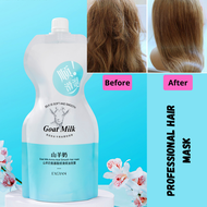 Hair Treatment Dry Split Hair Exgyan Goat Milk Professional Hair Mask Strengthening Healthy 500g