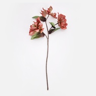 Flora芙蘿拉花插深山含笑花 綠紅