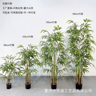 Simulation Bamboo Aoi Hotel Company Opening Evergreen Fake Green Plant Decoration Artificial Aoi Pot