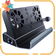 For / Game Console Docking Station 10 in 1 Dual Fan, 1000Mbps Ethernet, 3.0 PD100W Charger for Ally/