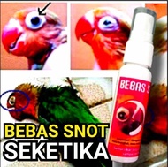 Obat Sakit Mata Katarak Bengkak Berair Merah Pilek Cegah Kebutaan Untuk Burung Murai Kacer Cucak Lov