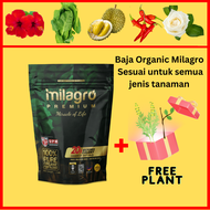 Baja Subur Milagro Murah Ready Stock 1kg Baja Organik Milagro untuk semua pokok dan bunga - Plant an