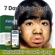 Hair Growth Tonic Spray 120ml Ginger Hair Growth Tonic Fast Growth Hair Growth Serum Anti-Hair Loss